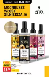 Biedronka gazetka tydzień 38 Strona 85