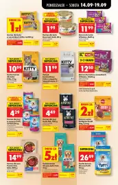 Biedronka gazetka tydzień 38 Strona 93