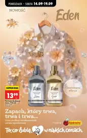 Biedronka gazetka tydzień 38 Strona 94