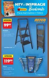 Biedronka gazetka tydzień 38 Strona 96