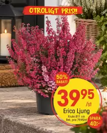 EKO reklamblad vecka 38 Sida 3: Erica Ljung €39,95