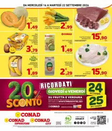 Volantino Conad City settimana 38 Pagina 8