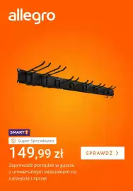 Allegro gazetka tydzień 38 Strona 2: Uniwersalny wieszak na narzędzia i sprzęt €149,99