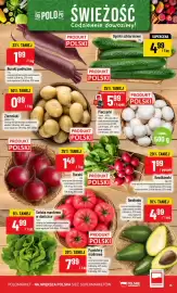 Polomarket gazetka tydzień 38 Strona 13