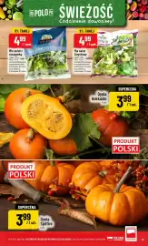 Polomarket gazetka tydzień 38 Strona 15