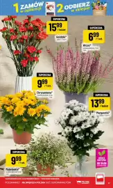 Polomarket gazetka tydzień 38 Strona 17