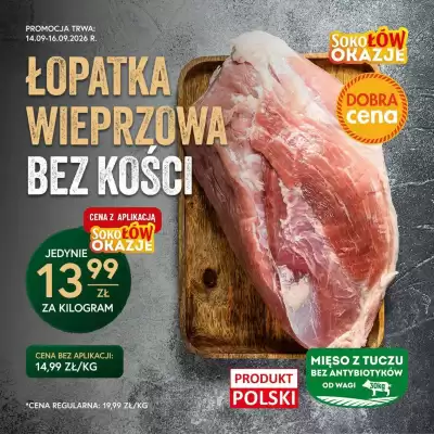 Gzella (ważność do 16-09)