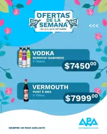 Catálogo APA Supermercados semana 38 Página 13