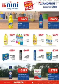 Catálogo Nini Mayorista semana 38 Página 11: Raid insect. aparatos €8.799,00, Odex lavandina en gel original €1.699,00