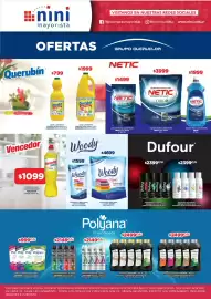 Catálogo Nini Mayorista semana 38 Página 13: Polyana antitranspirante aerosol €2.149,00