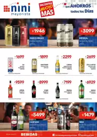 Catálogo Nini Mayorista semana 38 Página 17: Stella artois cerveza lata pure gold €2.699,00
