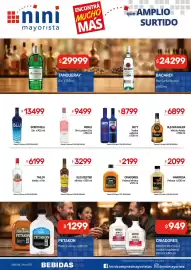 Catálogo Nini Mayorista semana 38 Página 20: Skyy vodka sabores €8.799,00, Merle gin london dry €9.499,00