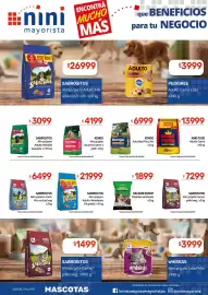 Catálogo Nini Mayorista semana 38 Página 45: Kongo alimento para gato gourmet carne y pollo €4.199,00