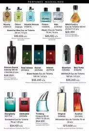 Catálogo Avon Página 101