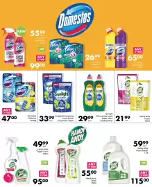 Save catalogue Page 75: Sunlight Dishwashing Liquid Pouch Ultra Power €33,99, Domestos Rimblock €47,00