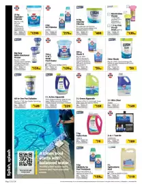Builders Warehouse catalogue Page 12: HTH Floater+ €139,00, BLU52 Active Algaecide €229,00