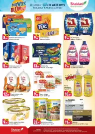 Shaklan leaflet Page 2