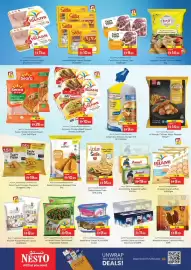 Nesto catalogue Page 11
