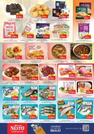 Nesto catalogue Page 13