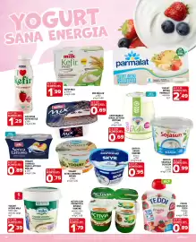 Volantino Iperal Pagina 14: Yogurt intero mila €2,39, Teddi biologico Fragola yogurt €0,89