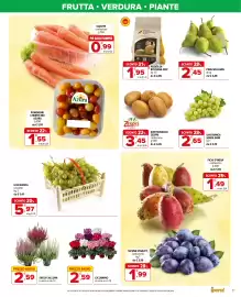 Volantino Iperal Pagina 7: Pere Williams €2,45, Erica Calluna €2,59