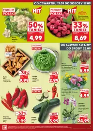 Kaufland gazetka tydzień 38 Strona 5: Maliny K-Stąd Takie Dobre €8,69, Storczyk €24,99