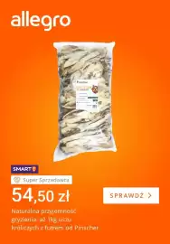 Allegro gazetka tydzień 38 Strona 3: Uszy królicze z futrem Pinscher €54,50