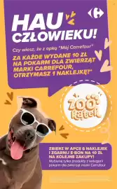 Carrefour gazetka Strona 9