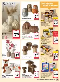 Maximarkt Flugblatt woche 38 Seite 21