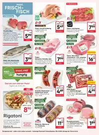 Maximarkt Flugblatt woche 38 Seite 8