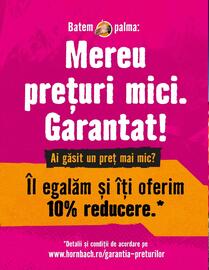 Magazine Hornbach Pagină 12