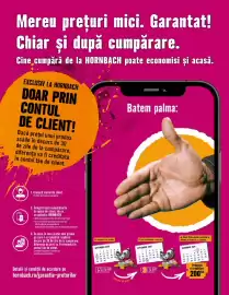 Magazine Hornbach Pagină 11