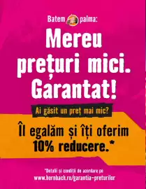 Magazine Hornbach Pagină 12
