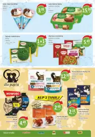 Market Point gazetka Strona 9