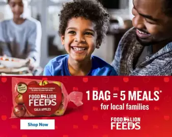 Food Lion weekly ad week 38 Page 2