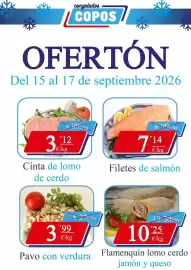Catálogo Congelados Copos Página 1: Efervescente oleos €10,25, Filetes de noel €3,99