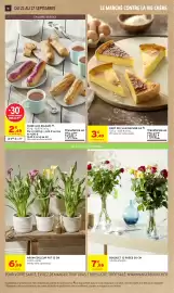 Catalogue Intermarché page 16: ARUM COULEUR POT 12 CM €6,99, FOIRE AUX ECLAIRS €2,49