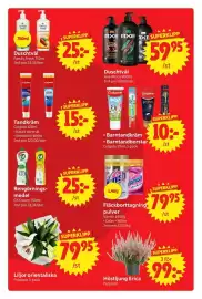 Nya Pulsen reklamblad vecka 38 Sida 12: Superklipp liljor orientaliska €79,95, Axe Duschtvål €59,95