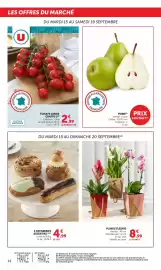 Catalogue Maximarché page 14: LA PLANTE PLANTE FLEURIE €8,99, 4 Patisseries assorties €4,99