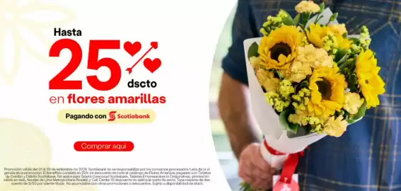 Catálogo Rosatel Página 1