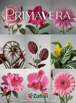 Encarte Zaffari (válido até 27-09)