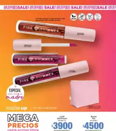 Catálogo Millanel Cosmética Página 110