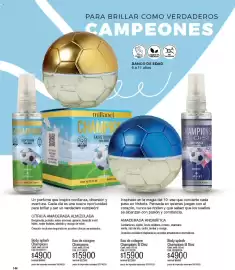 Catálogo Millanel Cosmética Página 168