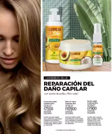 Catálogo Millanel Cosmética Página 182
