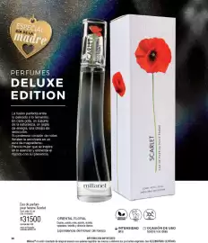 Catálogo Millanel Cosmética Página 20
