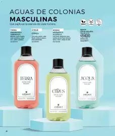 Catálogo Millanel Cosmética Página 56