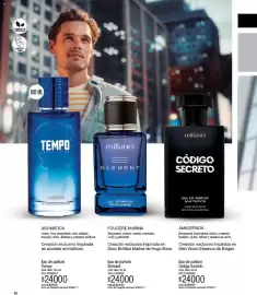 Catálogo Millanel Cosmética Página 62