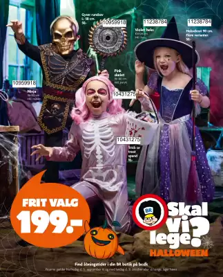BR leksaker katalog (giltig till och med 31-10)