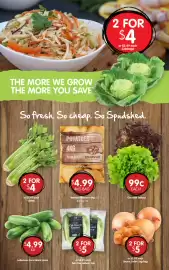 Spudshed catalogue week 38 Page 4: Monte Farms Crisp Cos Hearts Lettuce €5,00, Washed Potatoes 4kg €4,99