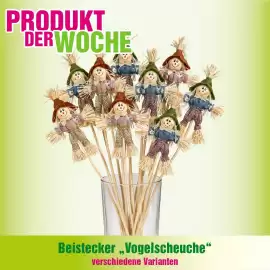 Blumen B&B Flugblatt woche 38 Seite 2